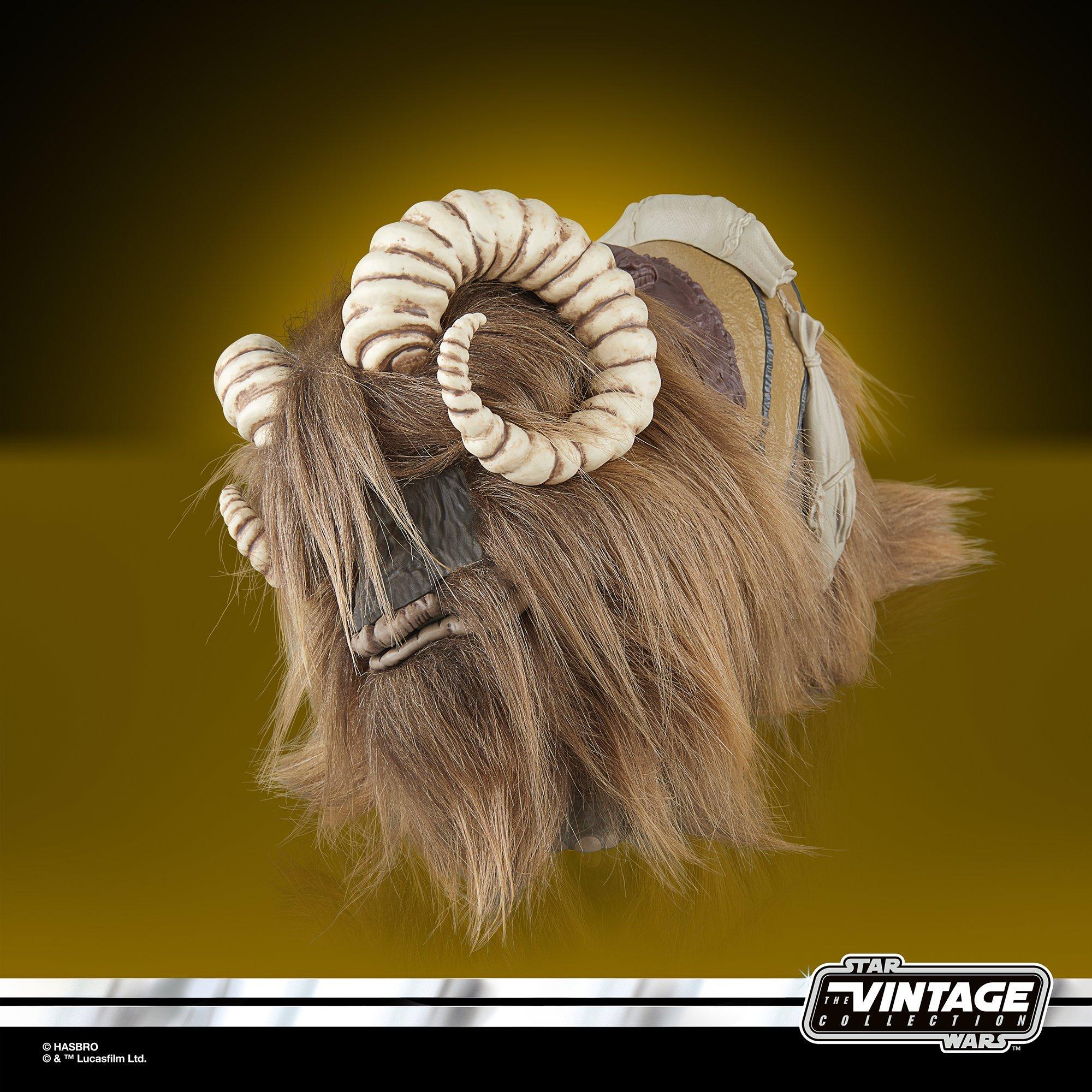 G13005L00_12.jpg